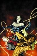 FOREVER EVIL ARGUS #3 (OF 6)