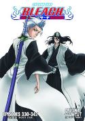 BLEACH UNCUT DVD SET 24