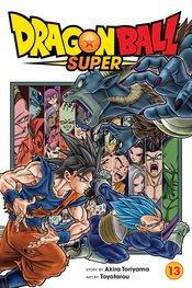 DRAGON BALL SUPER GN VOL 13