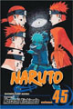 Naruto 45